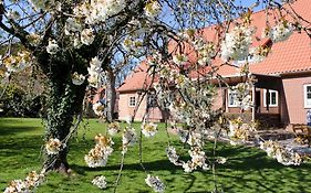 Ferienwohnung Gartenblick - a19374